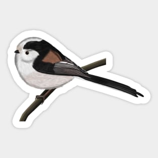 Long Tailed Tit Bird Watching Birding Ornithologist Gift Sticker